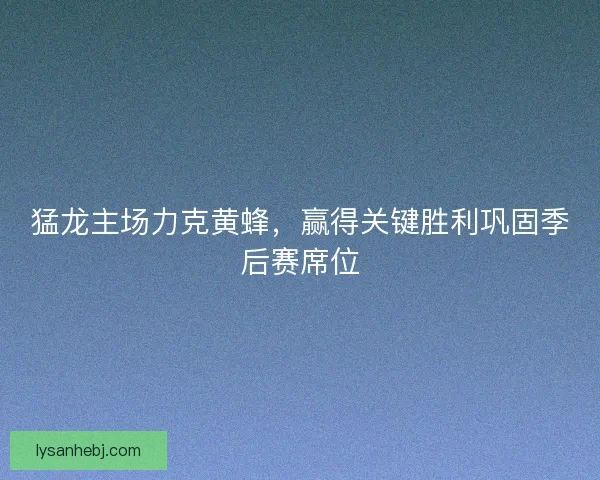 猛龙主场力克黄蜂，赢得关键胜利巩固季后赛席位