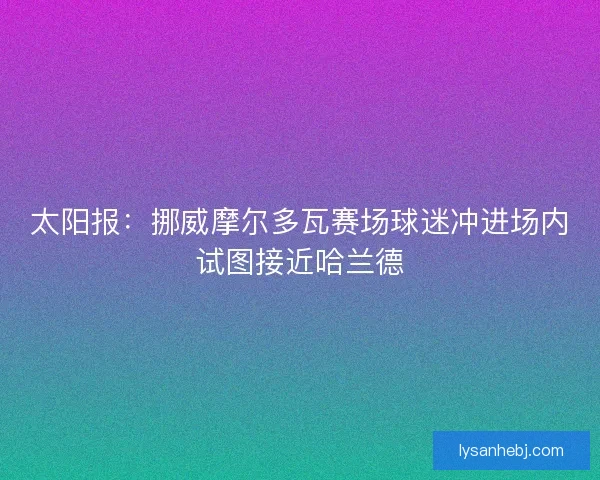 太阳报：挪威摩尔多瓦赛场球迷冲进场内试图接近哈兰德