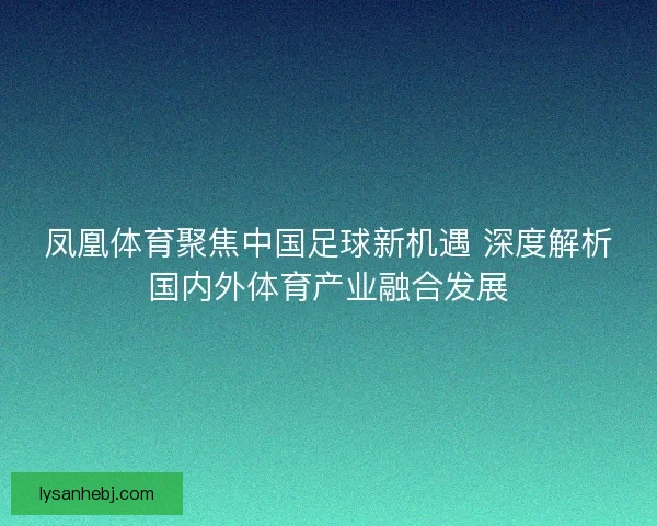 凤凰体育聚焦中国足球新机遇 深度解析国内外体育产业融合发展