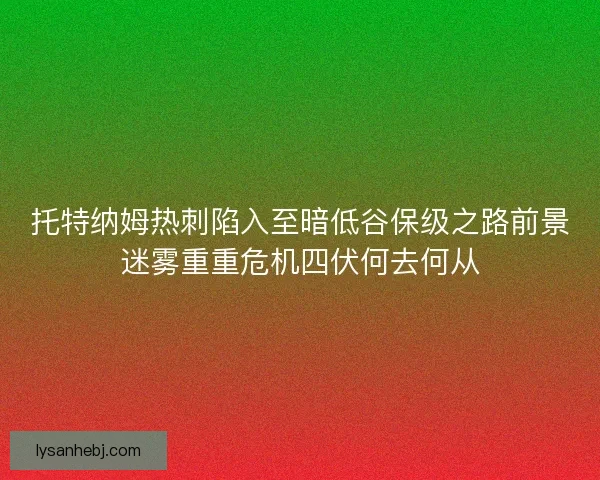 托特纳姆热刺陷入至暗低谷保级之路前景迷雾重重危机四伏何去何从